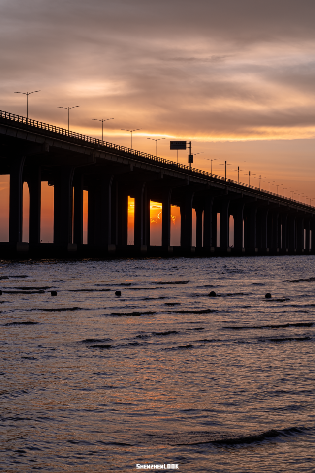 坐着地铁去看海！深圳这7条地铁线都能直达海边，收藏一个个打卡