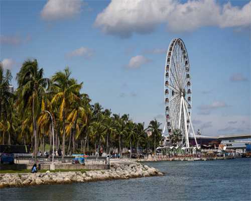 小学3000英语单词全在这里了，果断收藏！