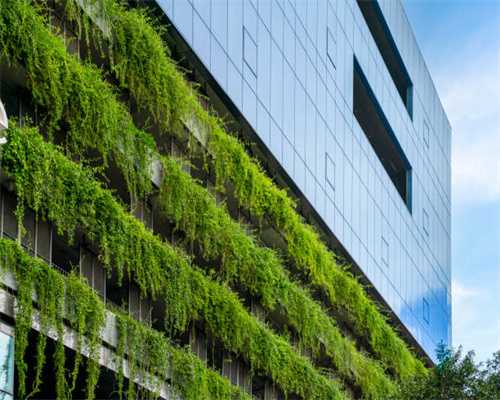 钱币评级公司有必要存在吗？