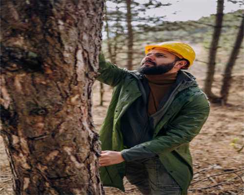 江河日下的收藏市场！2024年和田玉价格还会涨吗？