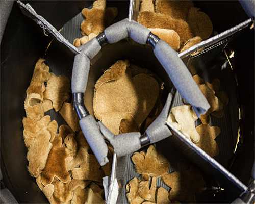 辽宁633个海岛都取名了！大连占最多