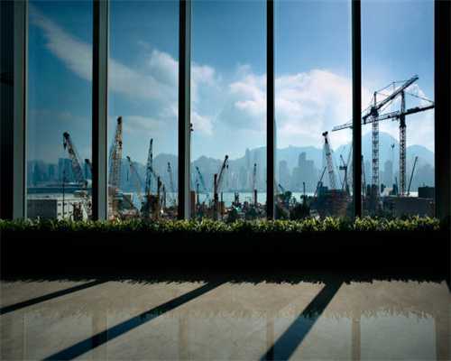 （社会）坦桑尼亚再度拍卖河马牙引争议