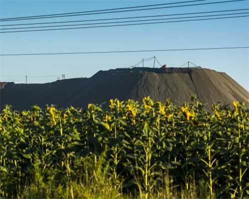 厨师长推荐70款酱汁值得收藏