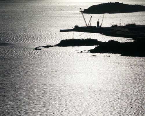 著名画家焦秉义病逝