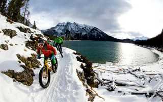 解读电影《死者田园祭》