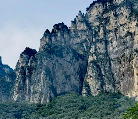 镇馆之宝：“张成造”剔犀云纹盘-故宫博物院