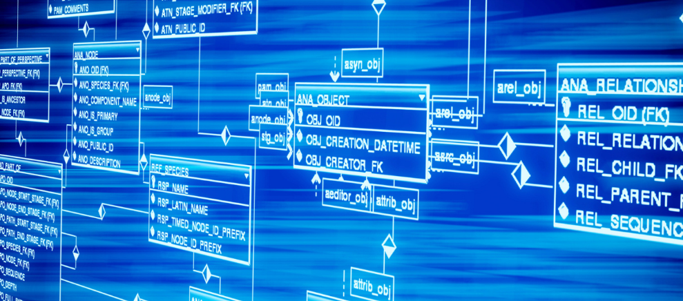 神秘的“双鱼玉佩”再次出现，专家：珍贵文物，佛教“八宝”之一