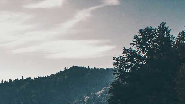 分间布白，远近宜均，上下得所，自然平稳