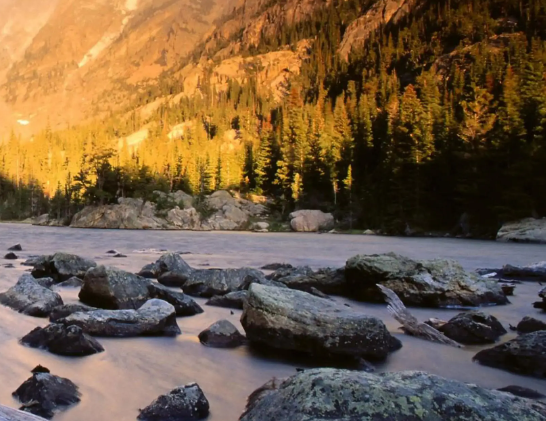 新秀｜中青年实力派：夏欣炜-乔木承春